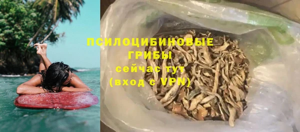 твердый Алексин