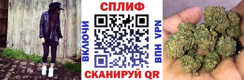 Конопля конопля  Ахтырский 